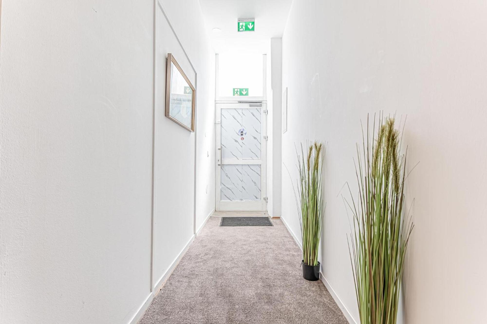 Loevly Shared 6Br With Garden Near Danube & Millenium City ウィーン エクステリア 写真