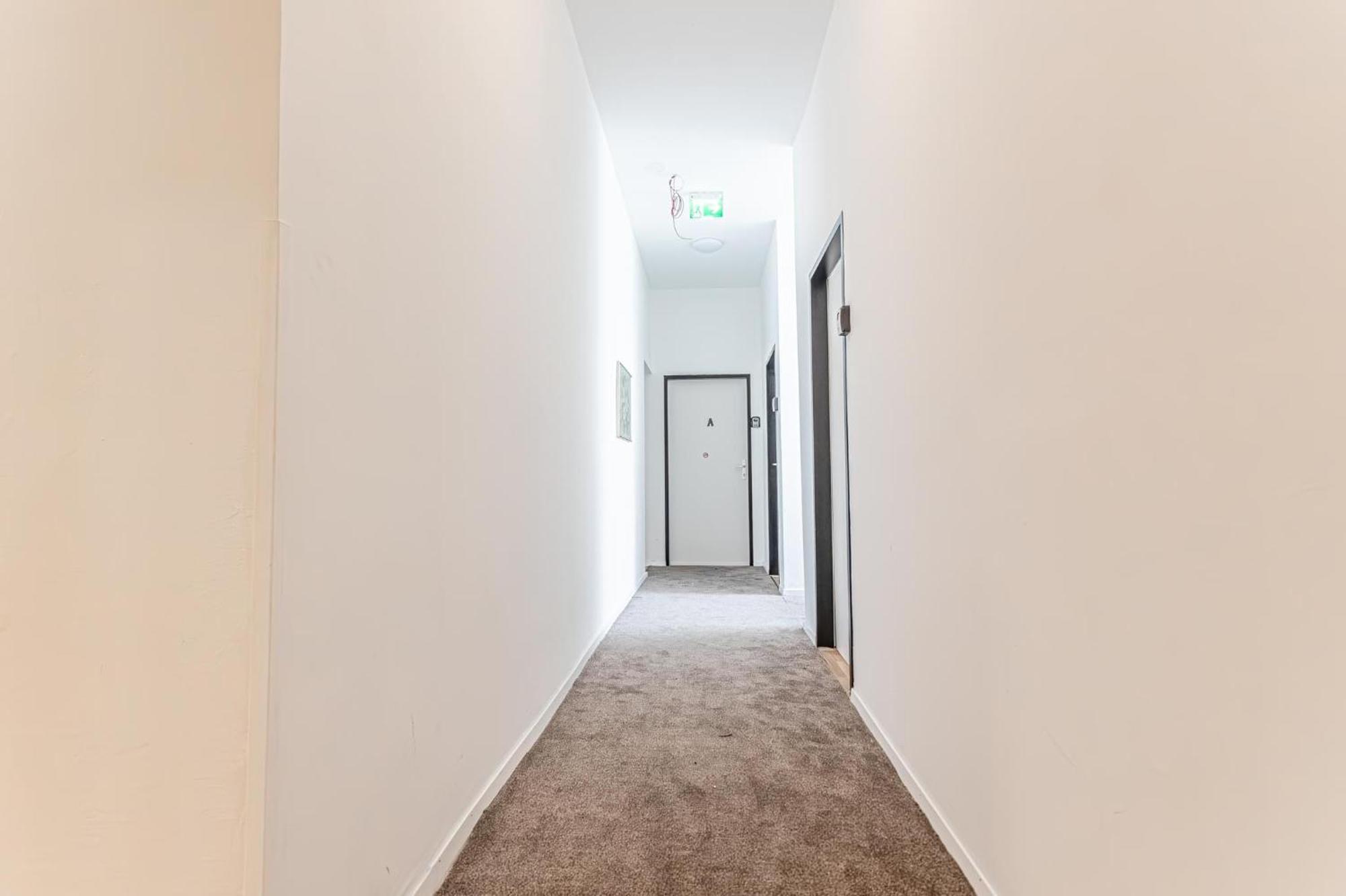 Loevly Shared 6Br With Garden Near Danube & Millenium City ウィーン エクステリア 写真